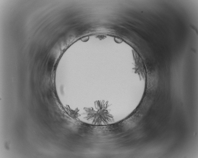 X0000103941477200810311514
