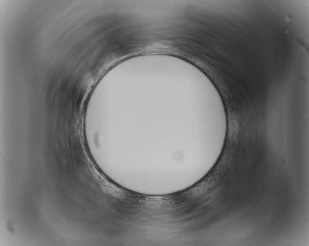 X0000103941478200810311514