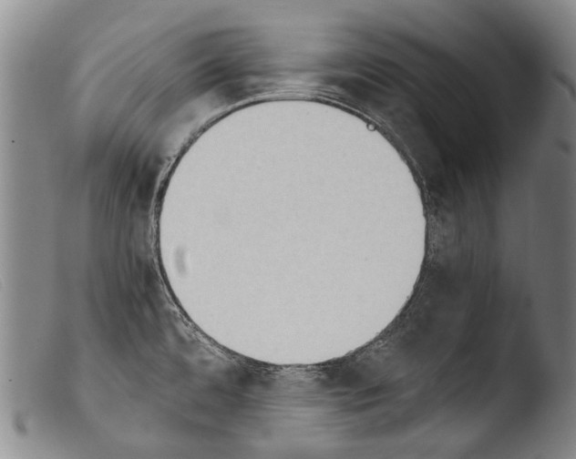 X0000103941480200810311514