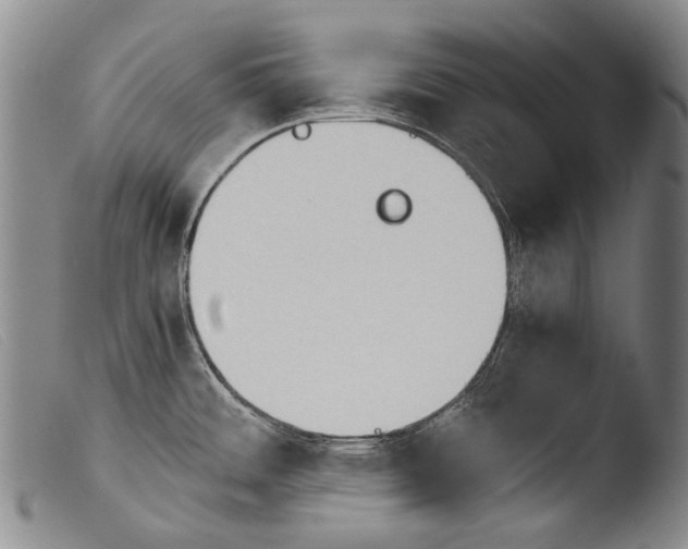 X0000103941484200810311514