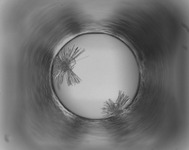 X0000103941485200810311514