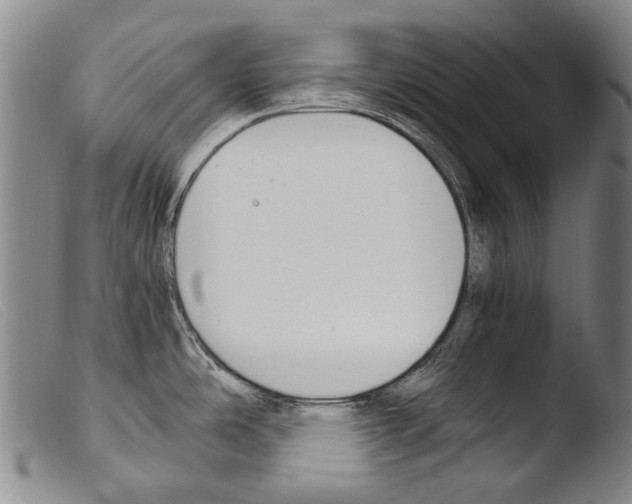 X0000103941486200810311514