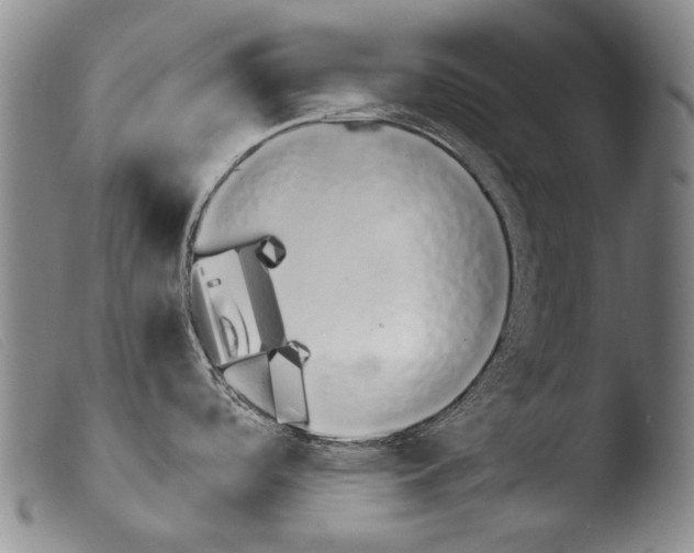 X0000103941488200810311514