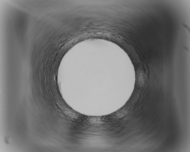 X0000103941489200810311513