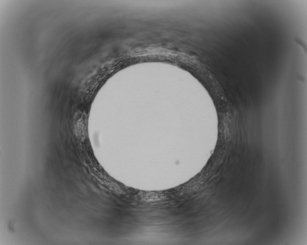 X0000103941493200810311513