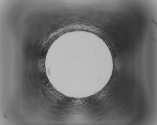 X0000103941494200810311513