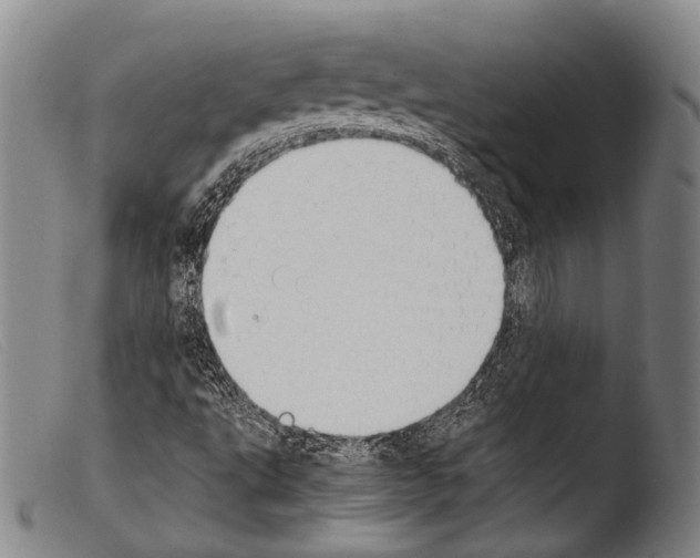 X0000103941495200810311513