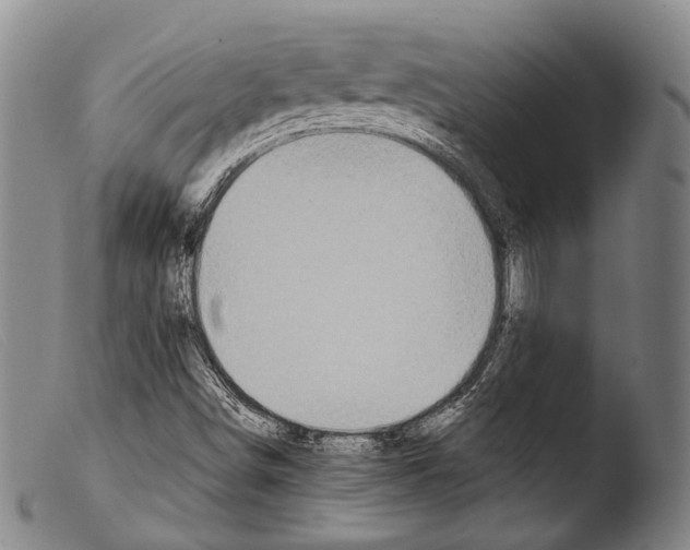 X0000103941498200810311513