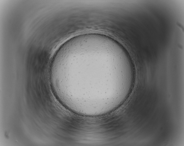 X0000103941500200810311513