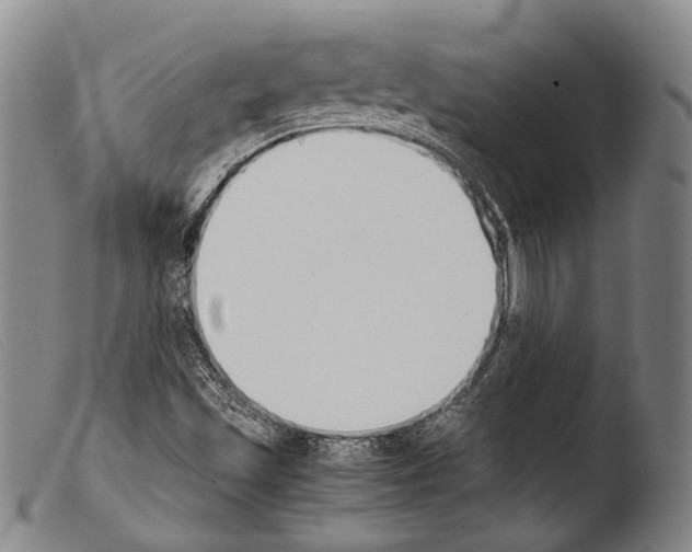 X0000103941501200810311513