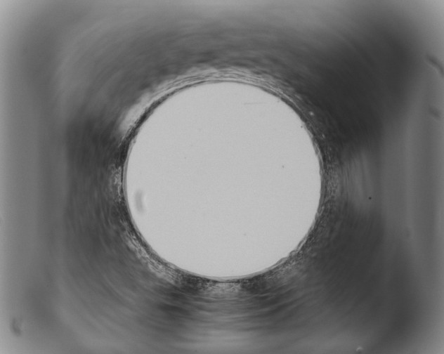 X0000103941503200810311513