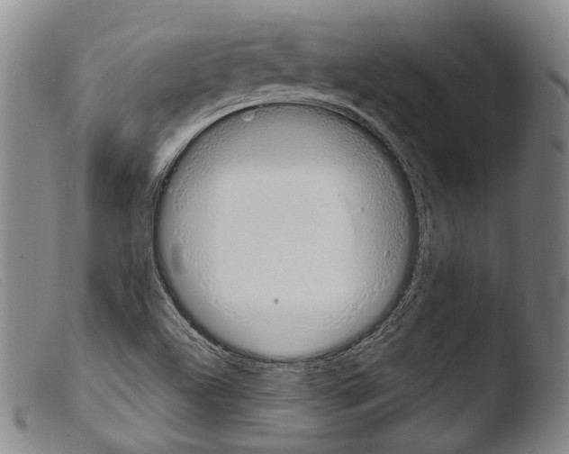 X0000103941504200810311513