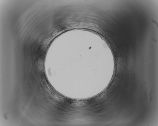 X0000103941505200810311513