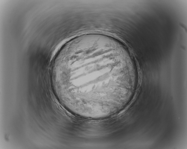 X0000103941506200810311513