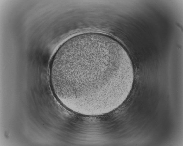 X0000103941508200810311513