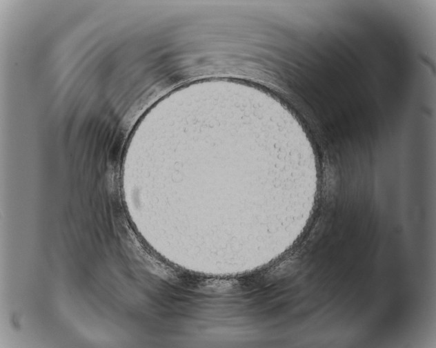 X0000103941513200810311513