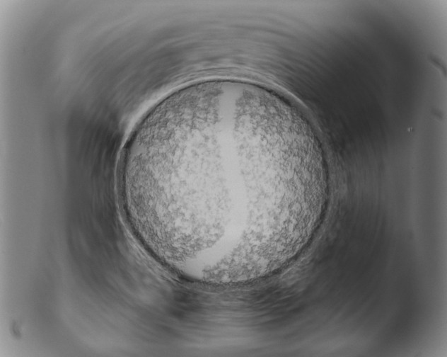 X0000103941514200810311513