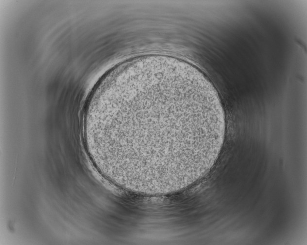 X0000103941515200810311513