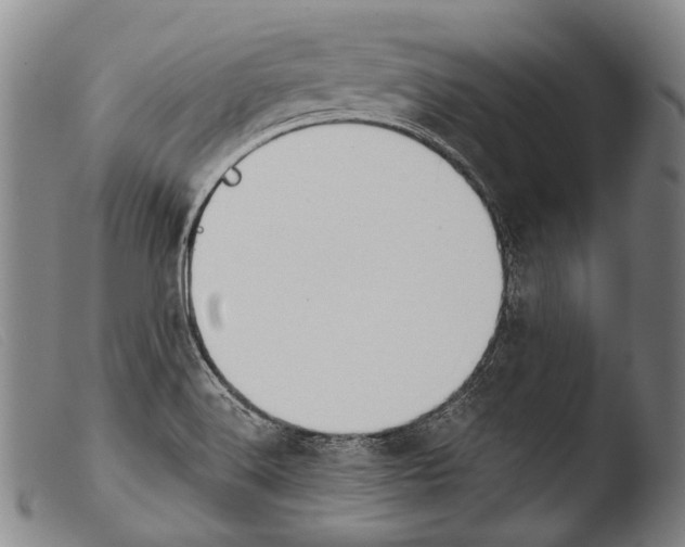 X0000103941516200810311513