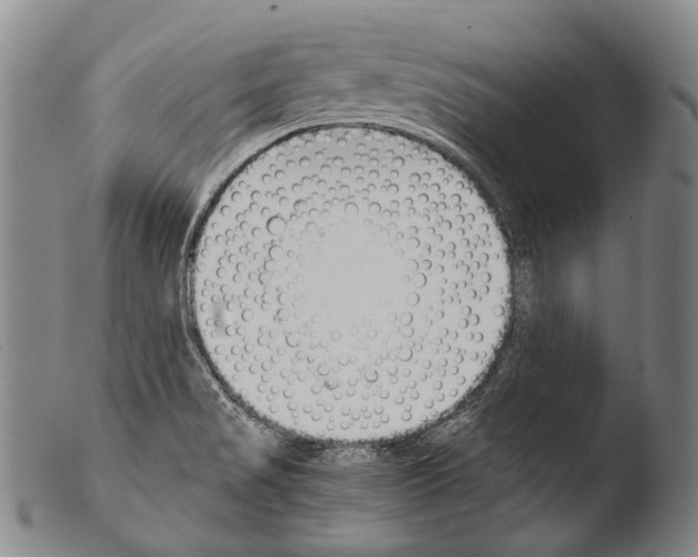 X0000103941517200810311513