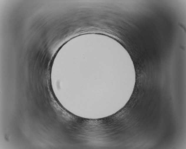 X0000103941518200810311513