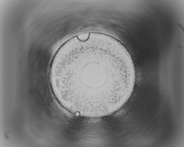 X0000103941519200810311513