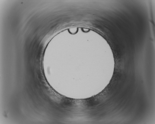 X0000103941520200810311513