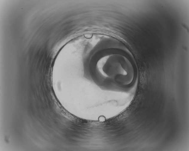 X0000103941522200810311513