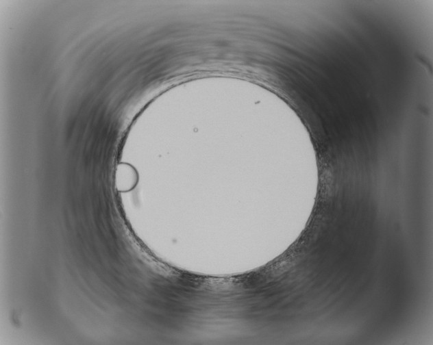 X0000103941523200810311513