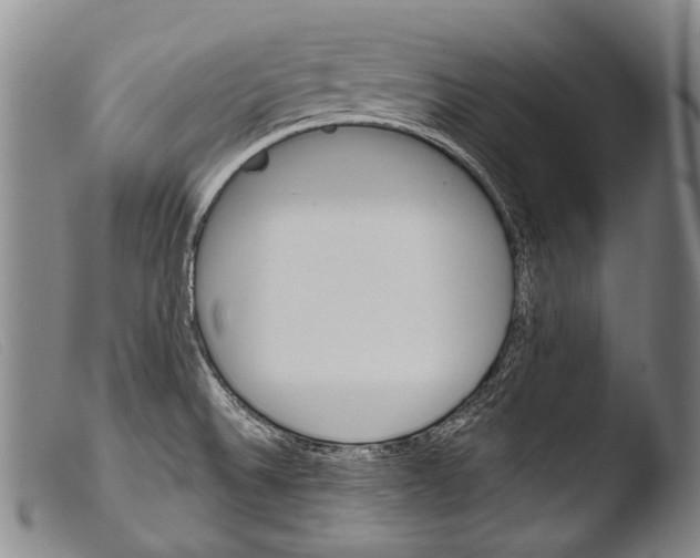 X0000103941524200810311513