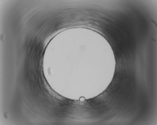 X0000103941526200810311513