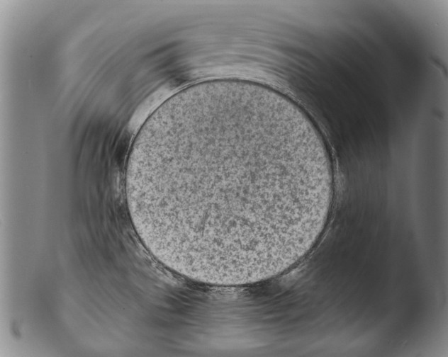 X0000103941529200810311514