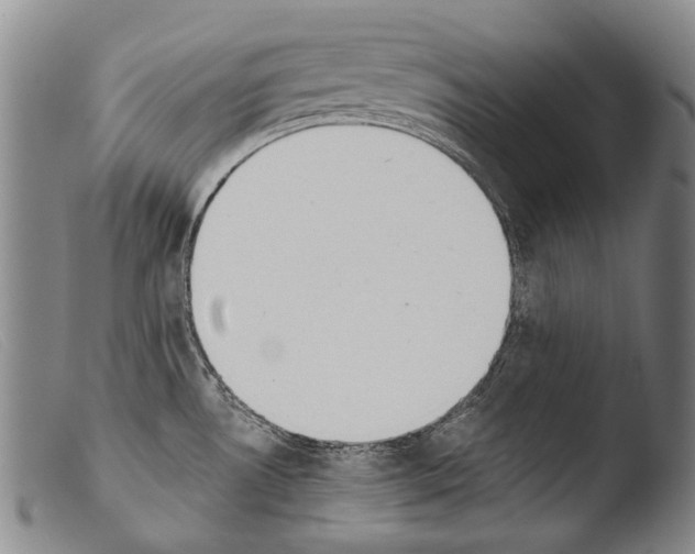 X0000103941530200810311514