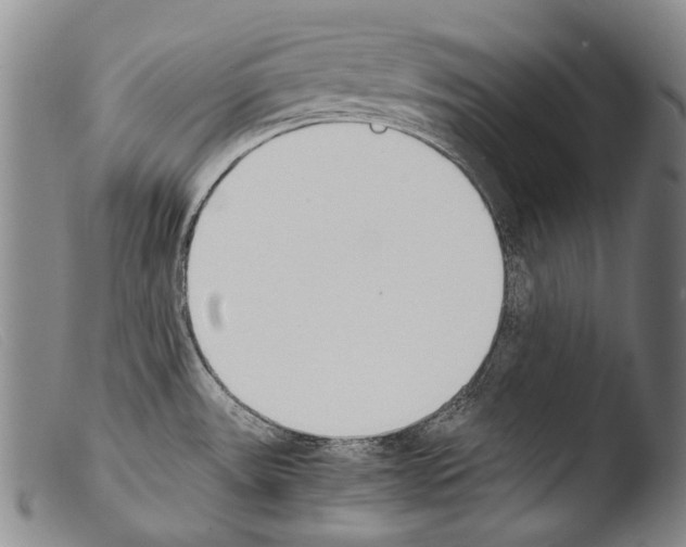 X0000103941531200810311514