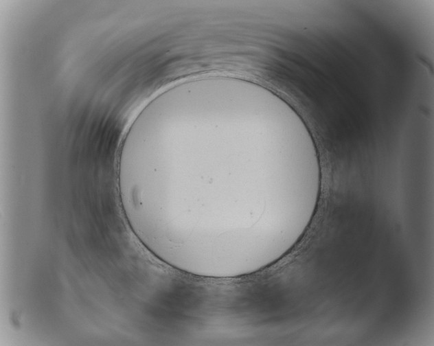 X0000103941532200810311514