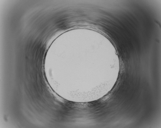 X0000103941533200810311514