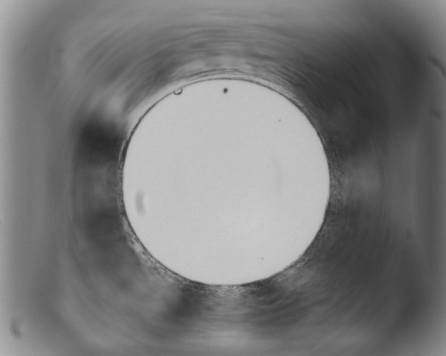 X0000103941534200810311514