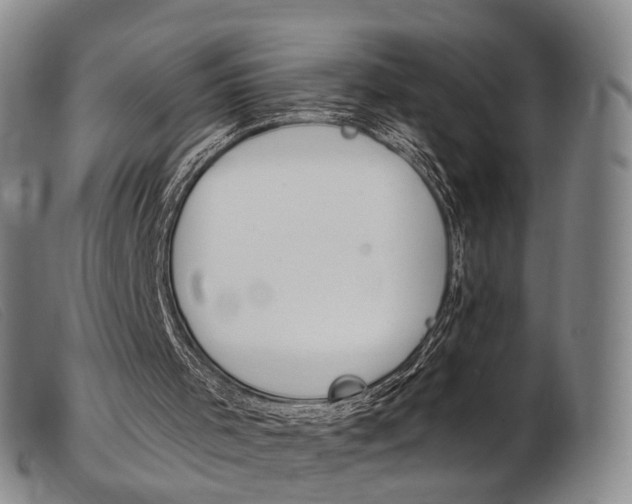 X0000103950001200809191222