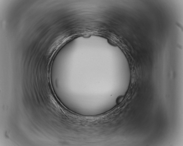 X0000103950002200809191222