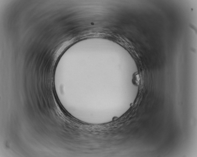 X0000103950003200809191222