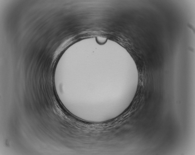 X0000103950004200809191222
