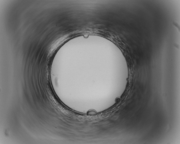 X0000103950005200809191222