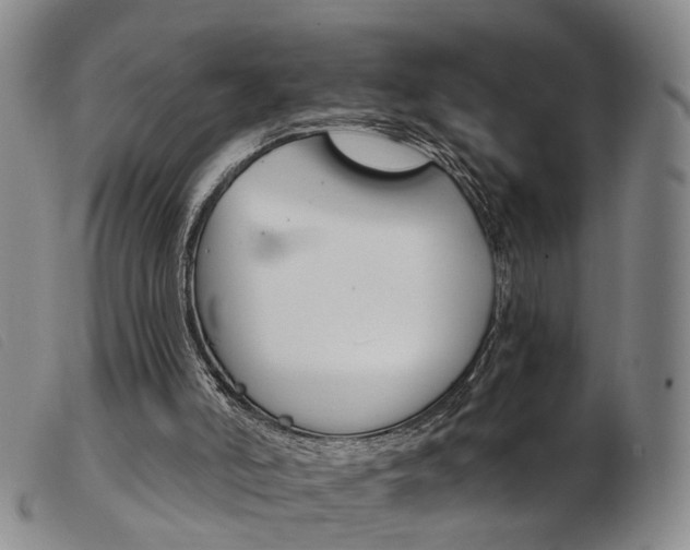 X0000103950006200809191222