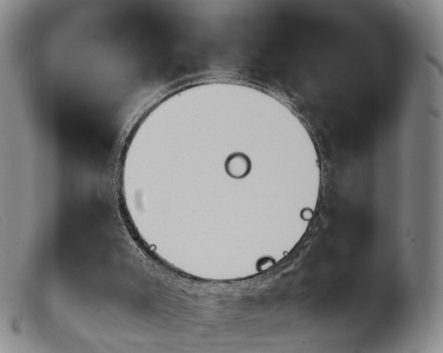 X0000103950007200809191222