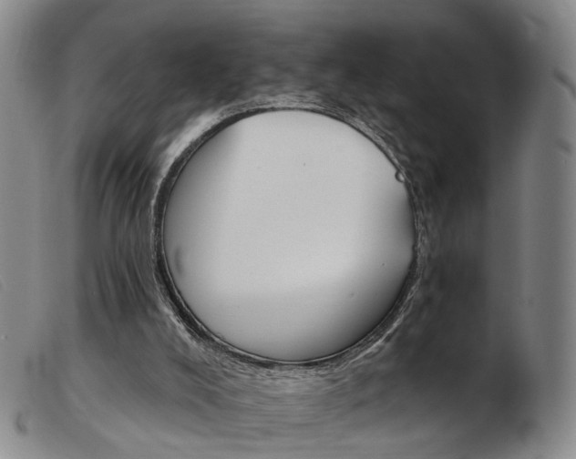 X0000103950008200809191222