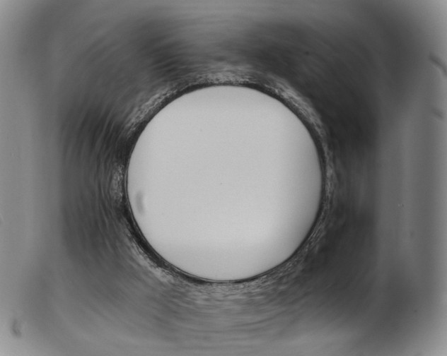 X0000103950009200809191222