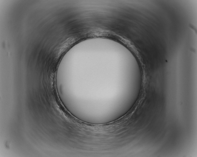 X0000103950010200809191222