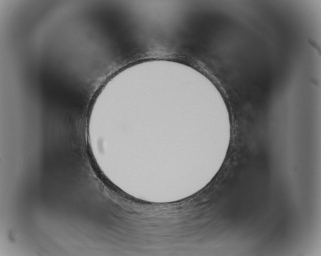 X0000103950011200809191222