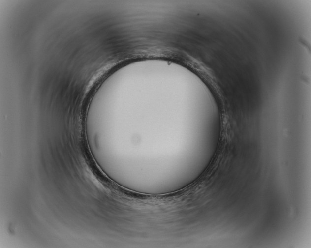 X0000103950012200809191222