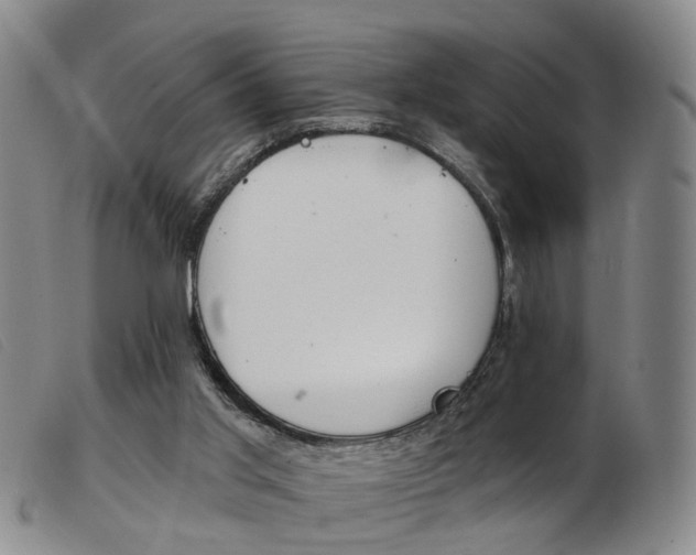 X0000103950013200809191222